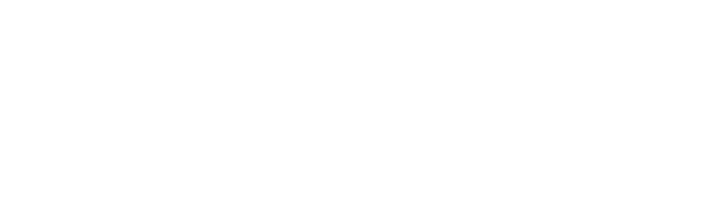 Logotipo de Network Computer
